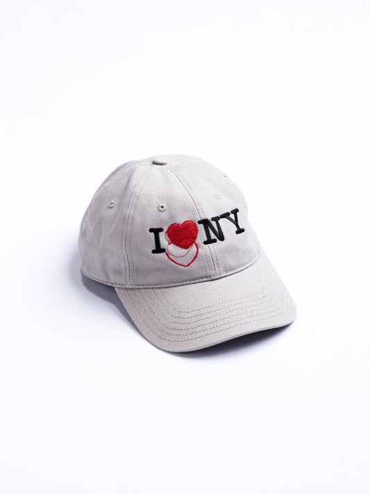 ICON THREADS GLITCH EMBROIDERY CAP / 2colors