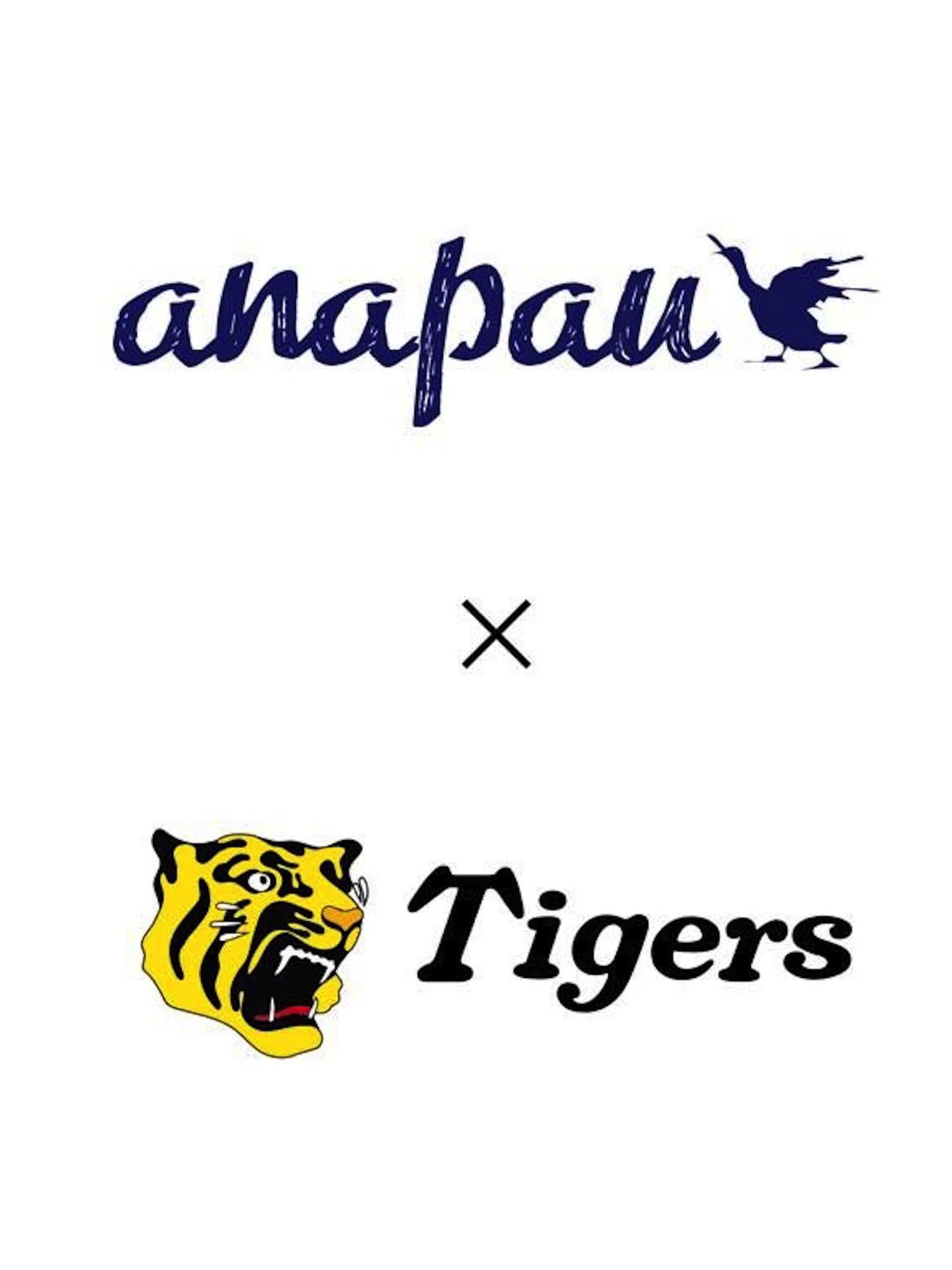 MP-100 / メッセンジャー / BLACK