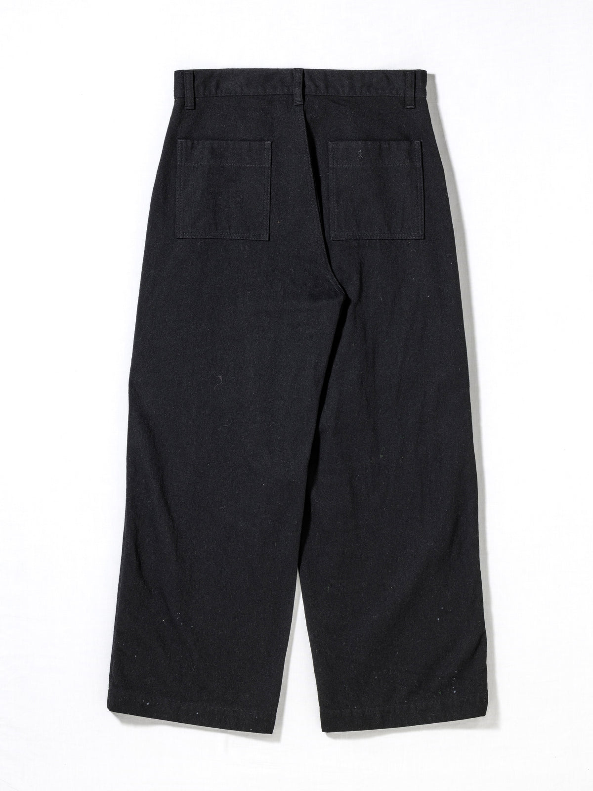 WOOL PAINTER PANTS / Black