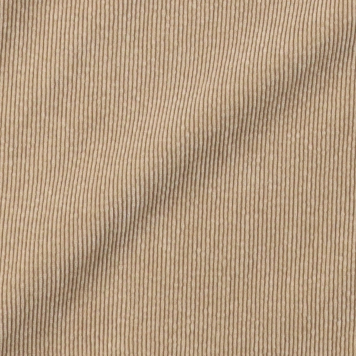 TWO TUCK WIDE PANTS (CORDUROY) / Beige