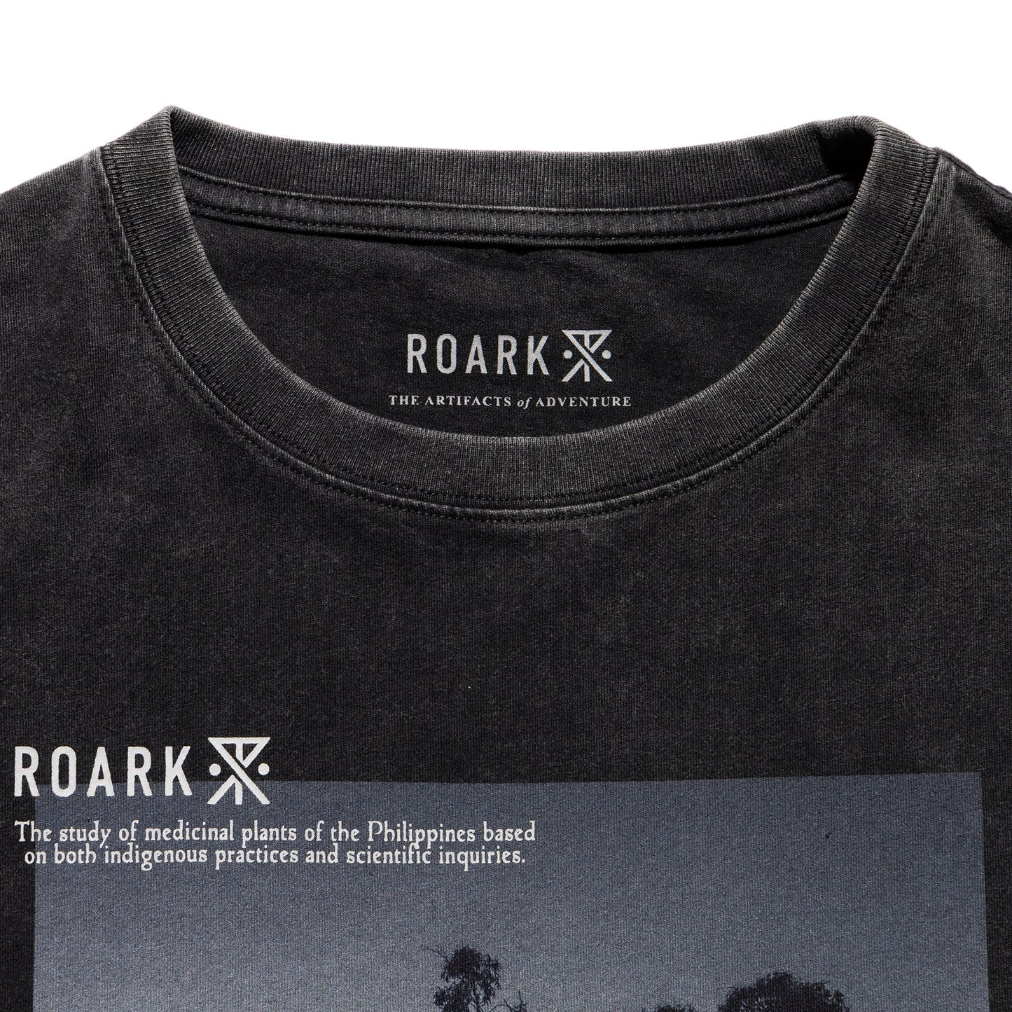 "NATIVE PLANTS" WELL WORN TEE / Black