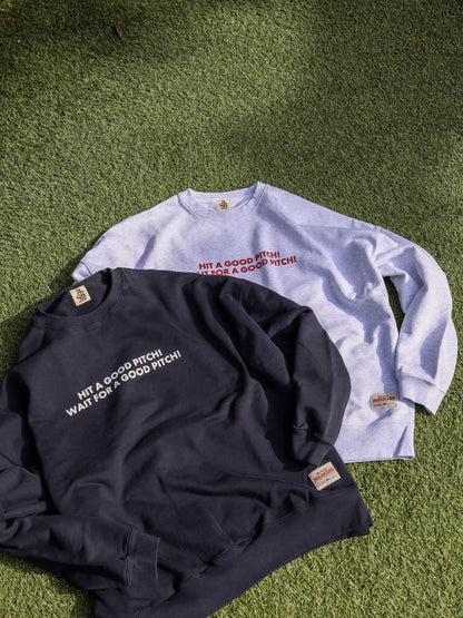 HIT A GOOD PITCH ! / Ash