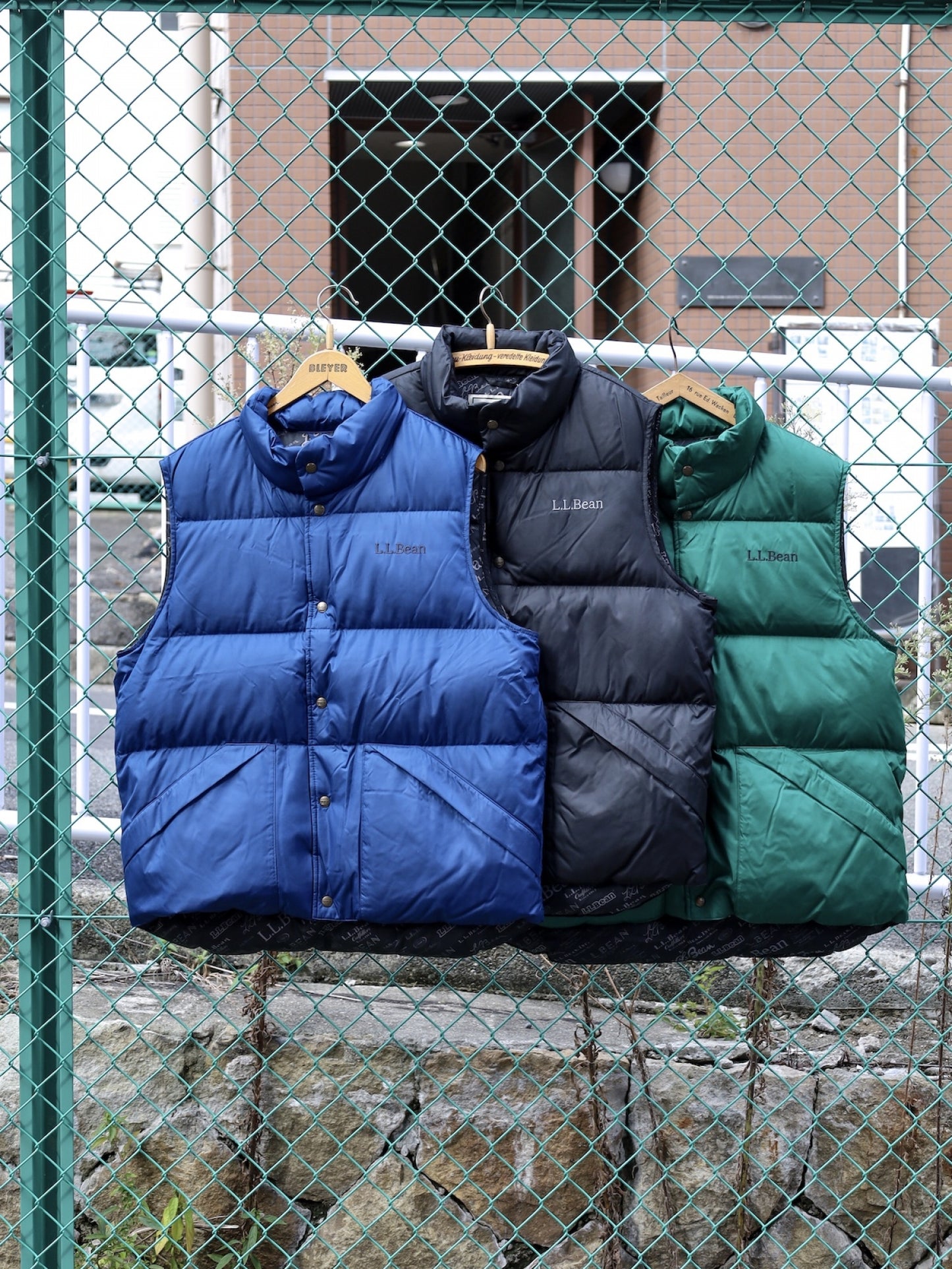 ADULT'S' BEAN'S TRAIL MODEL DOWN VEST '82 / Collegiate Blue